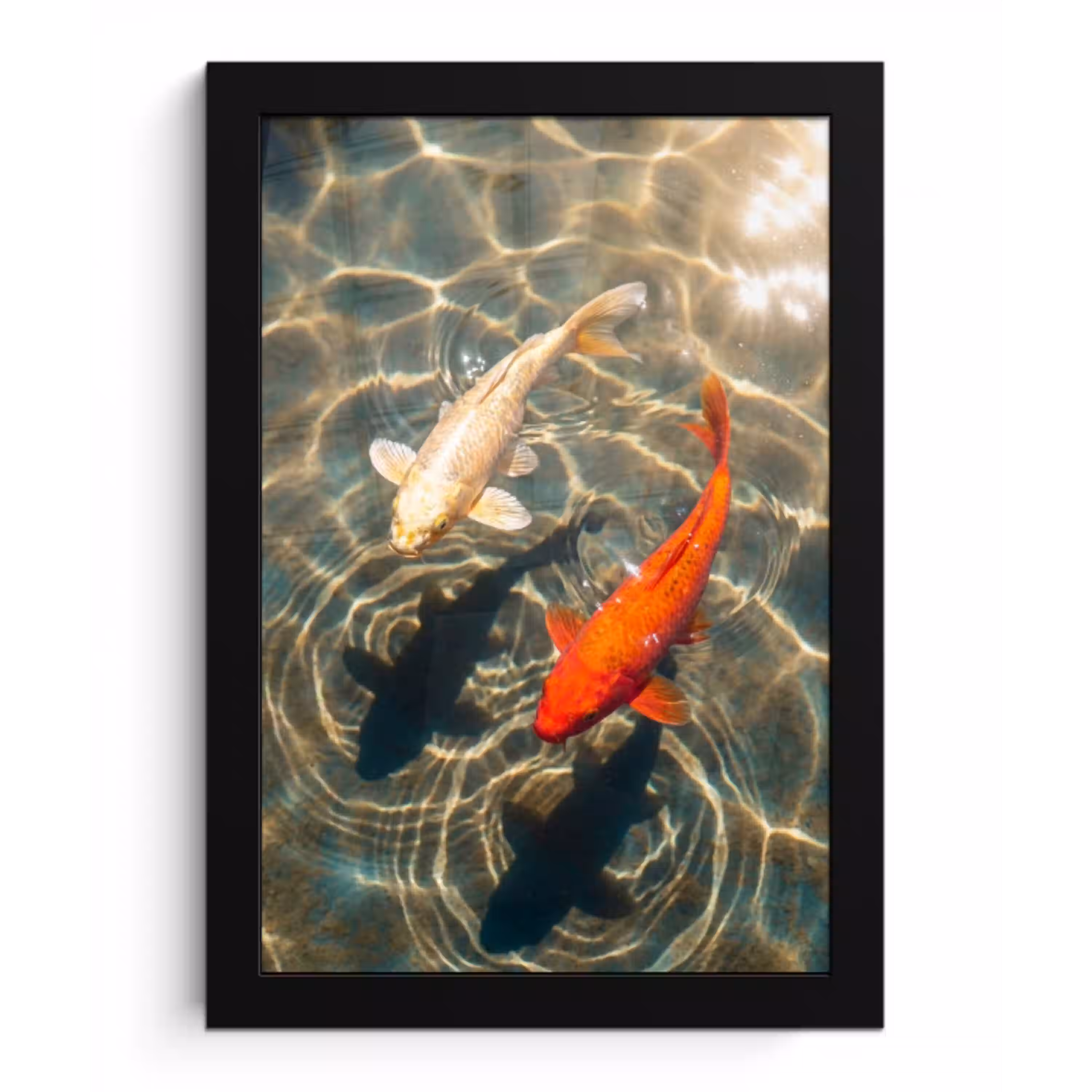 Vis - Water - Dieren - Oranje - Goud fotolijst zwart zonder passe partout klein -3d