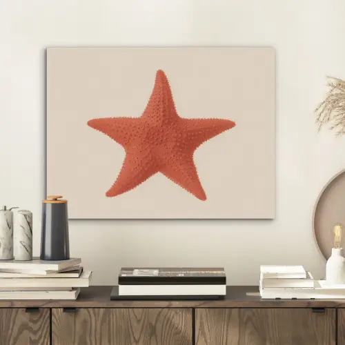 Zeester - Bobbels - Rood PET vilt klein -sfeer1