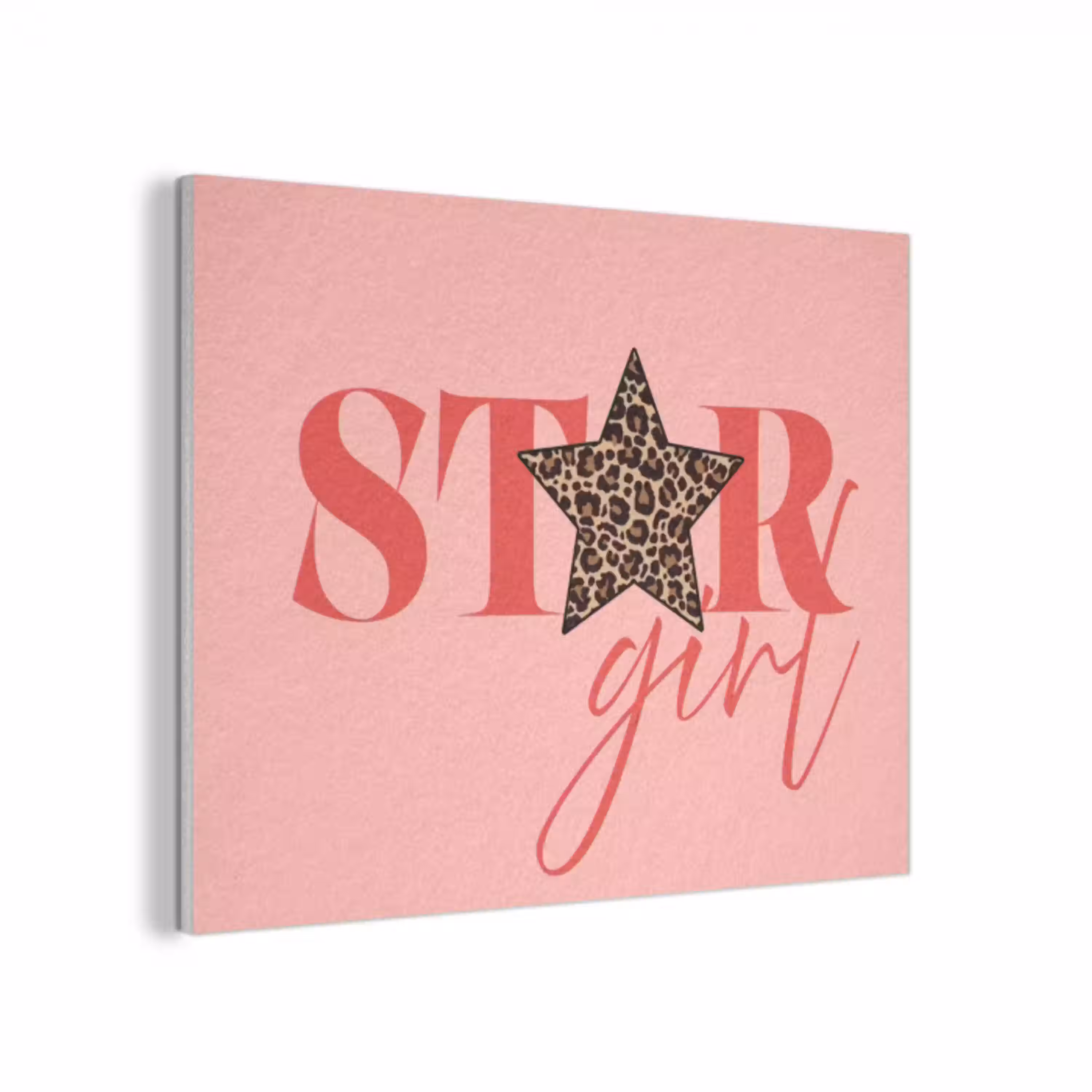Star girl - Roze - Panter - Ster PET vilt klein -3d