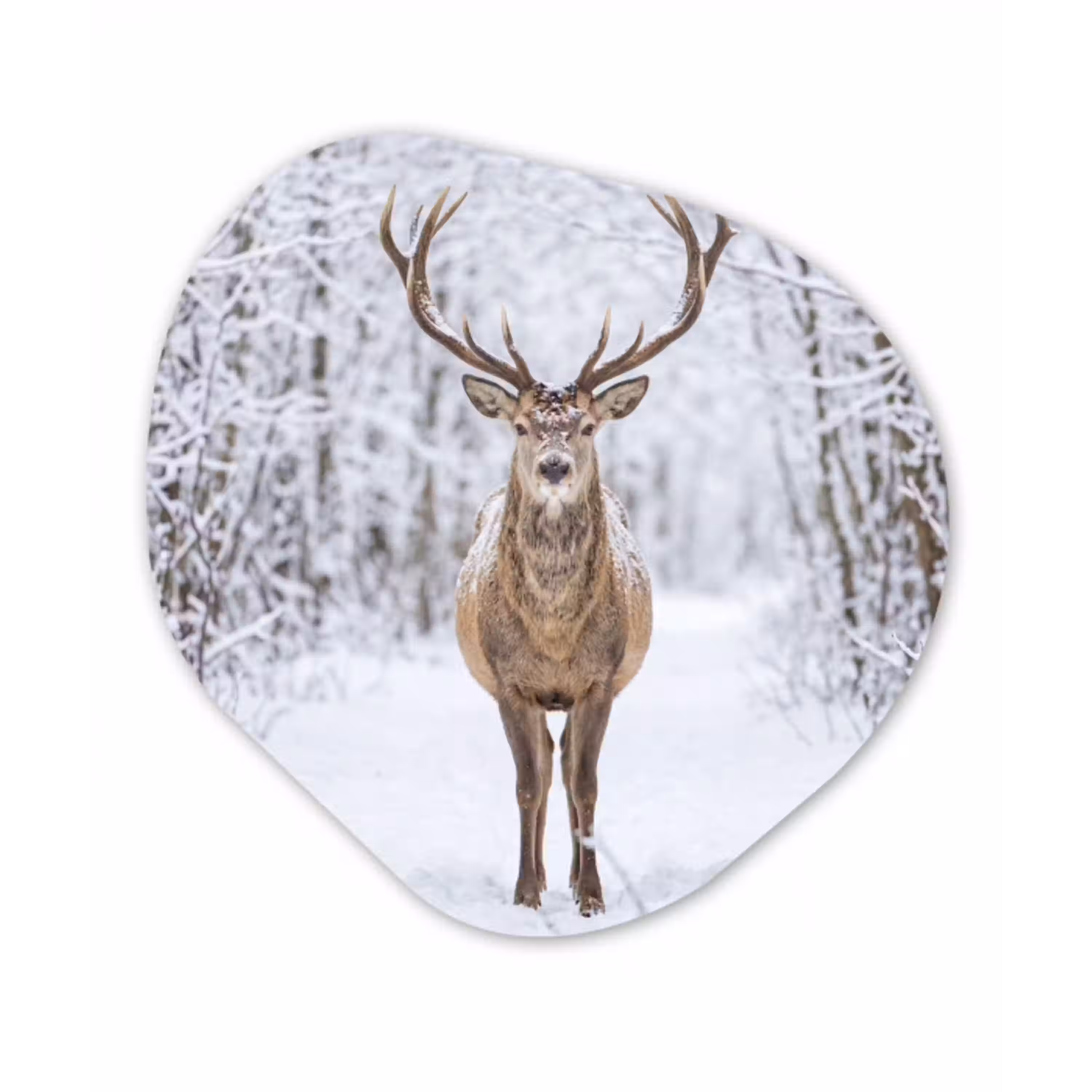 Hert - Winter - Bos - Natuur - Wit Wandcirkel Organisch Aluminium middel -3d