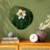 Narcis - Bloem - Wit - Grassprieten Wandcirkel Organisch Forex 3mm klein -sfeer2