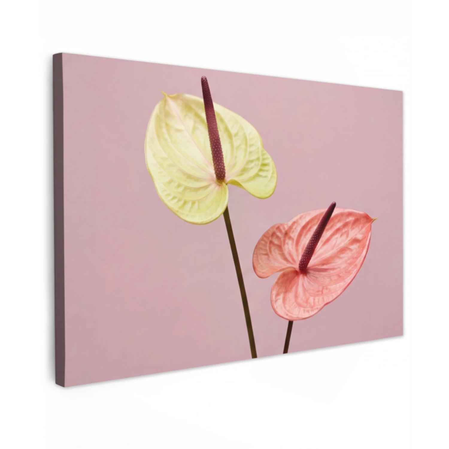 Bloemen - Anthuriums - Geel - Roze Tuinposter op houten frame 2 cm dik klein -3d