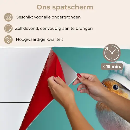 Roodborstje - Vogel - Koksmuts - Sokkel keuken achterwand spatscherm klein -spatscherm_NL