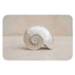 Schelp - Spiraal - Beige WCmat klein -3d