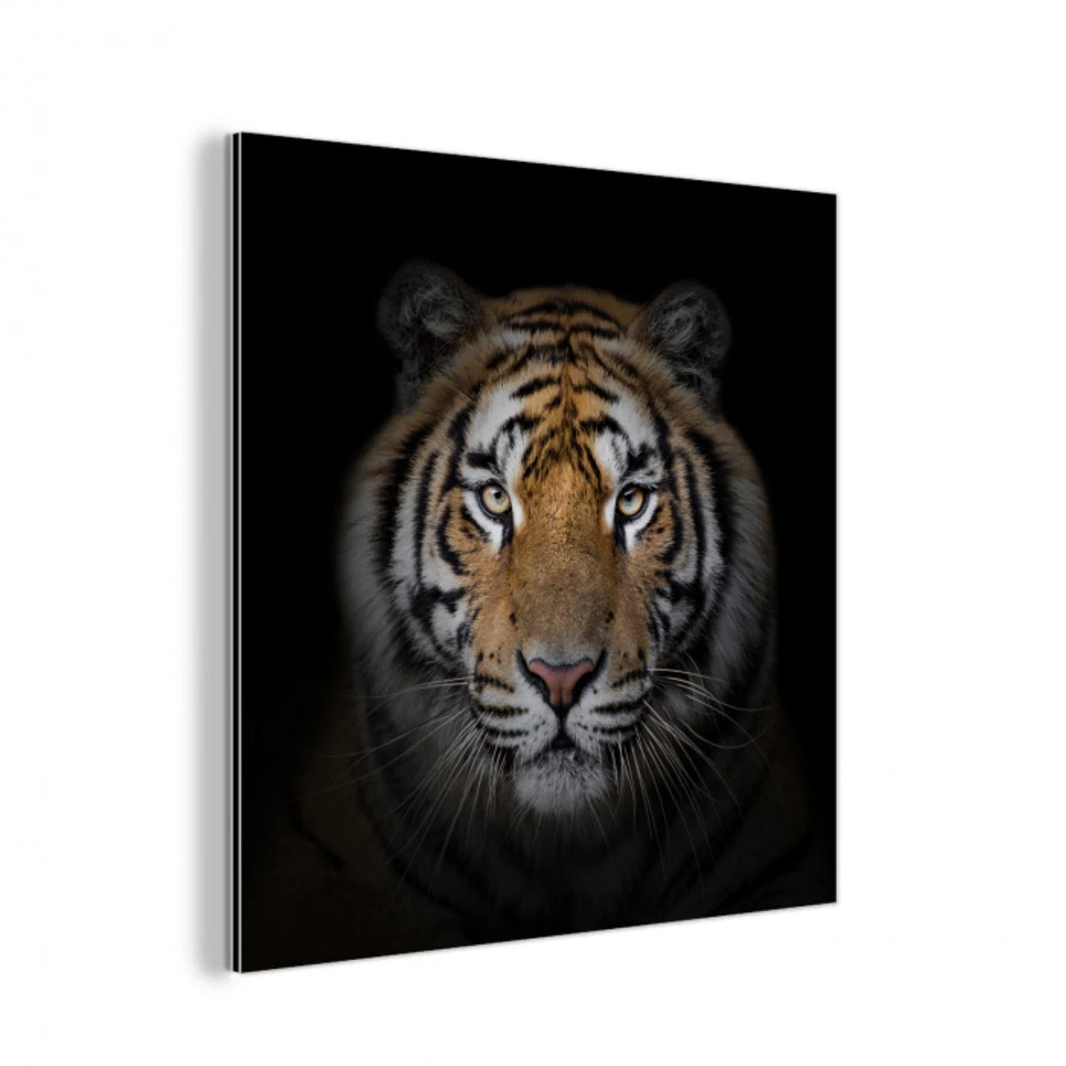 Tijger - Wilde dieren - Portret - Zwart - Dieren aluminium wit klein -3d