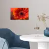 Oranje - Gerbera - Intens poster papier klein -sfeer3