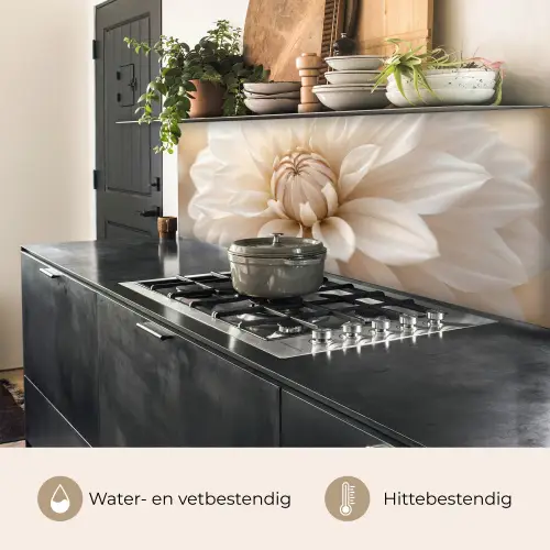 Bloem - Dahlia - Wit keuken achterwand 2 middel -usp_NL
