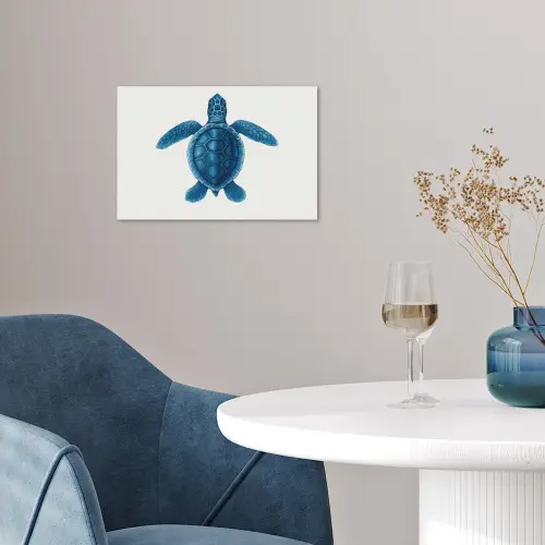 Schildpad - Blauw - Schild poster papier klein -sfeer3