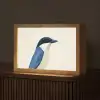 Illustratie - Blauw - Vogel Light Box met kabel (Tafellamp) klein -z3d_website