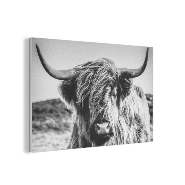 Acoustic Felt - Scottish Highlander - Close up - Horns - Coat - Black and White