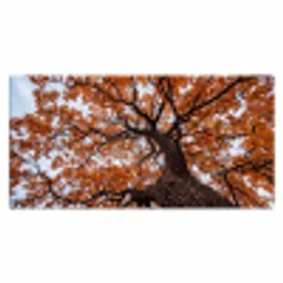 Boom - Bladerdak - Herfst - Oranje - Sfeervol Muismat XXL klein -3d_leeg