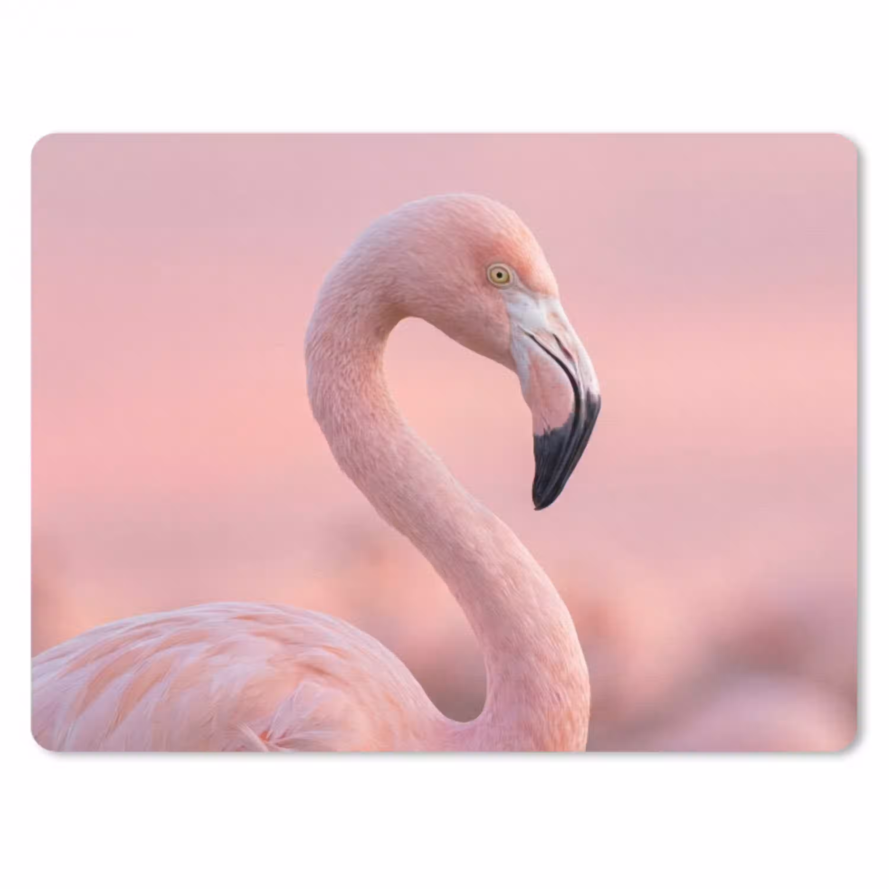 Flamingo - Portret - Roze muismat rubber klein -3d