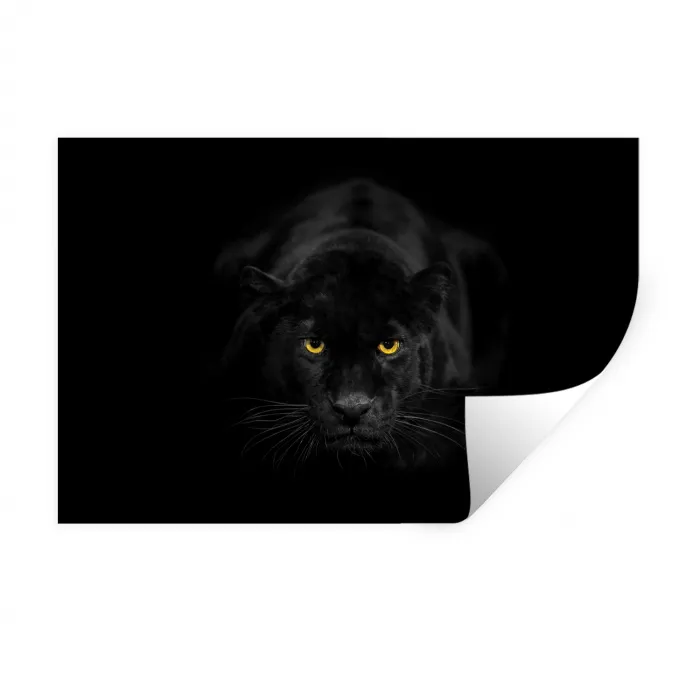Panter - Dieren - Zwart - Ogen Muursticker klein -3d