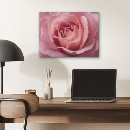 Roze - Roos - Romantisch PET vilt klein -sfeer5