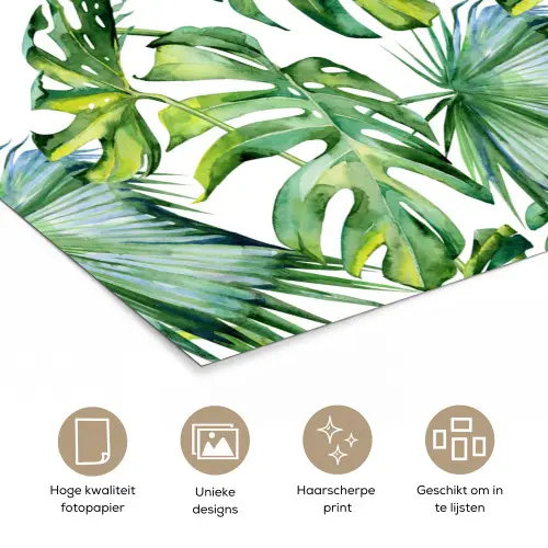 Bladeren - Monstera - Jungle - Tropical poster papier klein -closeup_NL