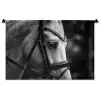 Paard - Schimmel - Portret Wandkleed katoen middel -zz3d