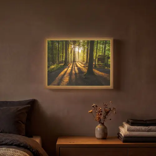 Zon - Bomen - Bos - Landschap - Natuur Light Box met batterij (Wandlamp) middel -sfeer4
