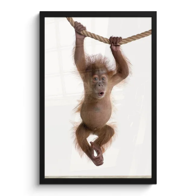 Photo Frame - Monkey - Animals - Children - Orang Utan - Boys - Girls