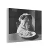 Hond - Bulldog - Pasta - Bril - Stoer - Dieren PET vilt klein -3d