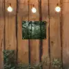 Regenwoud - Tropisch - Jungle - Bomen - Planten tuinposter los doek klein -sfeer1