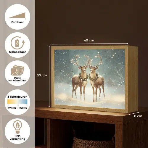 Kerstmagie - Winterwoud - Rendier Light Box met batterij (Wandlamp) middel -USP_websiteoverzichtNL