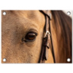 Paard - Oog - Bruin tuinposter los doek klein -3d
