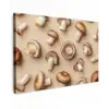 Kastanje Champignons - Beige canvas 2cm klein -z3d