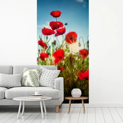 Klaprozen - Toscane - Zon - Rood - Blauw fotobehang vinyl groot -woonkamer