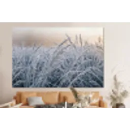Rijp - Gras - Kristallen - Winter - Minimalistisch forex 5mm xxl -bovenbank