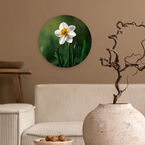 Narcis - Bloem - Wit - Grassprieten Wandcirkel kunststof plaat 5mm dik klein -sfeer1