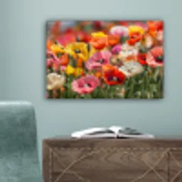 Bloemenveld - Klaprozen - Kleurrijk canvas 2cm klein -sfeer4