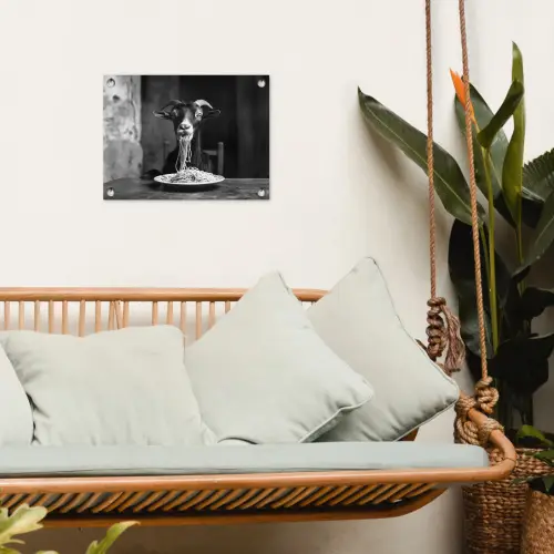 Geit - Bord - Spaghetti - Zwart Wit tuinposter los doek klein -sfeer7