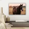 Paard - Zonsondergang - Bruin canvas 2cm klein -sfeer6