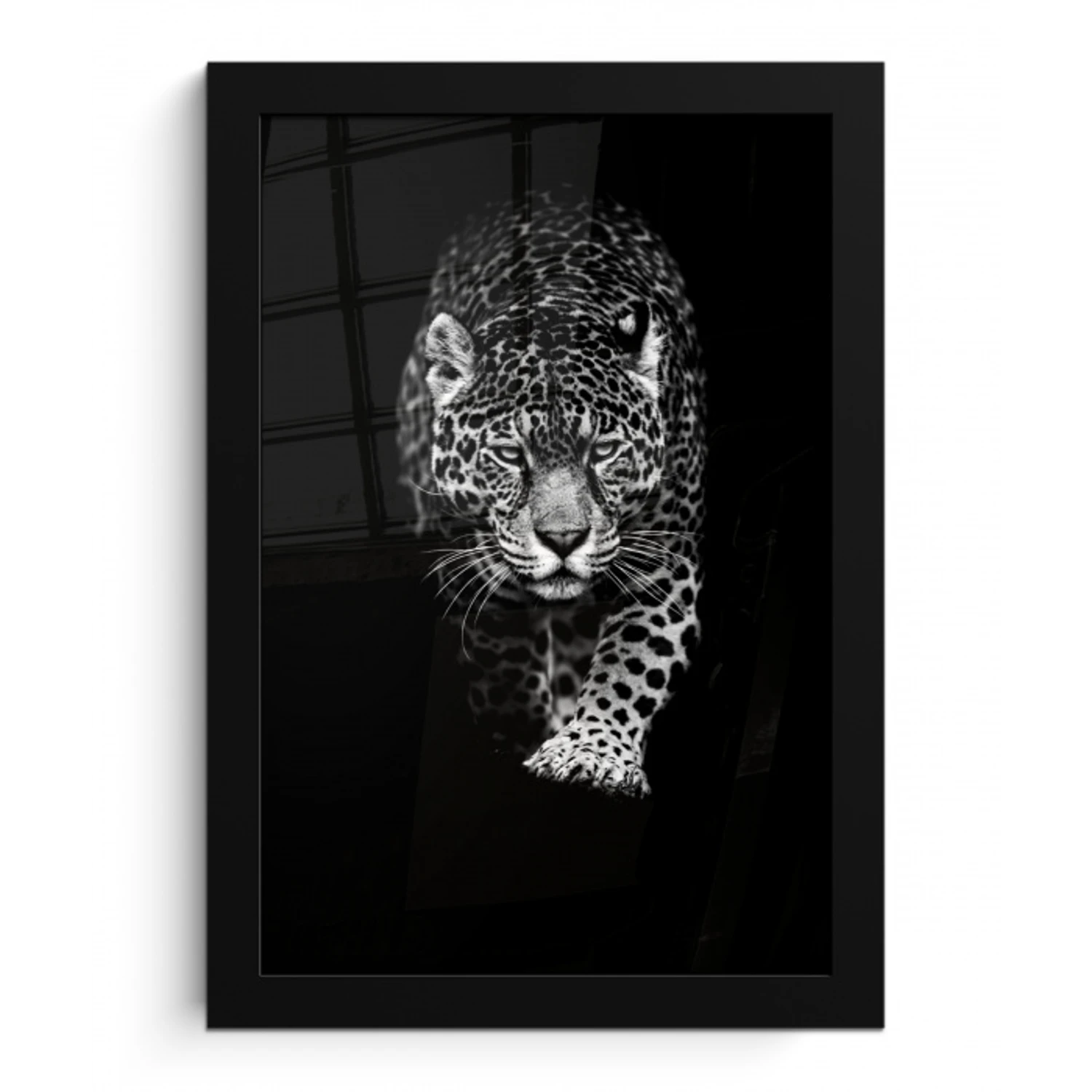 Dieren - Zwart - Luipaard - Wit - Wild fotolijst zwart zonder passe partout klein -3d