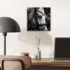 Paard - Schimmel - Portret aluminium wit klein -sfeer5