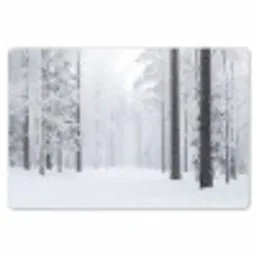 Bos - Sneeuw - Pad - Winter - Stilte Placemat vinyl groot -zzsfeer1_Kitchenyeah-website