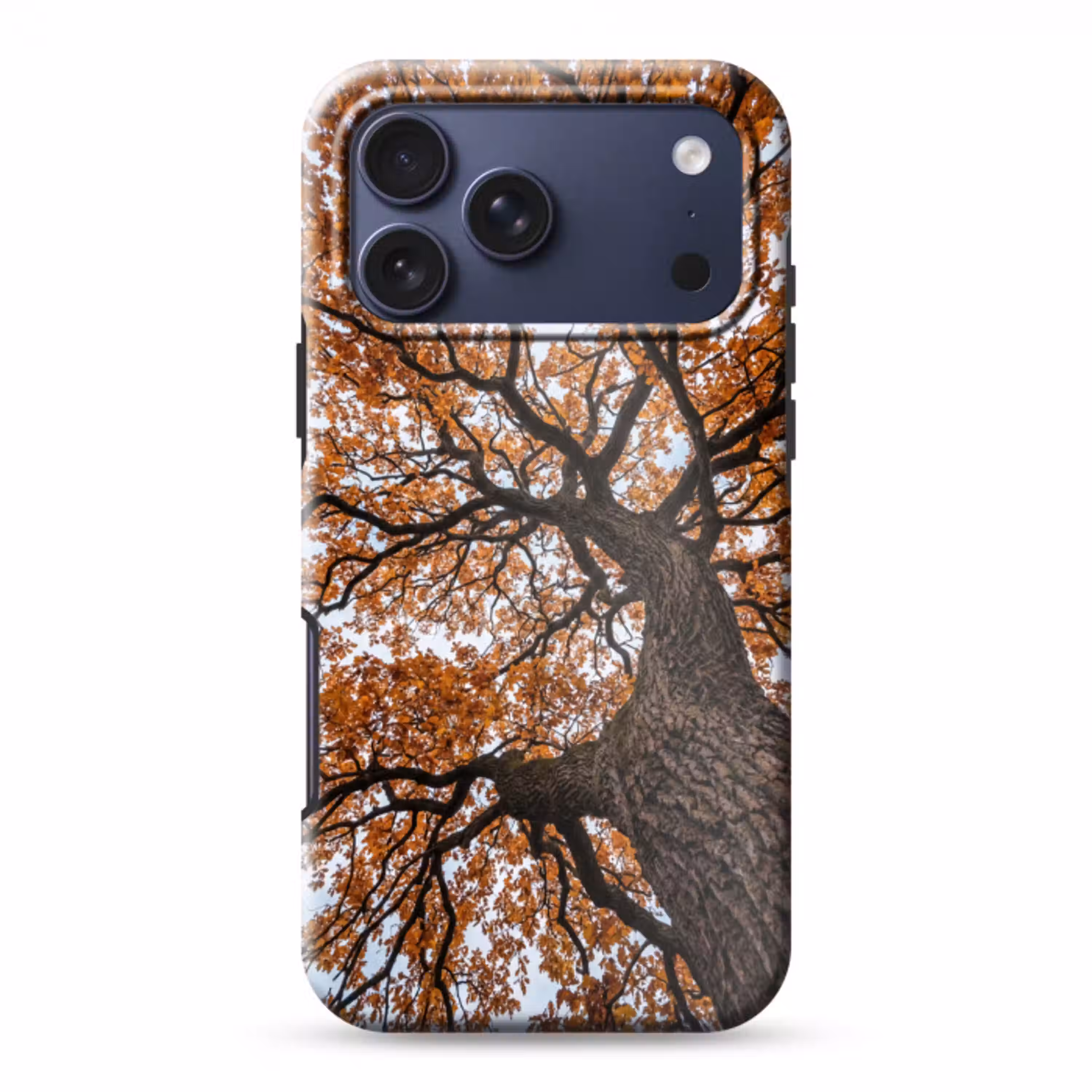 Boom - Bladerdak - Herfst - Oranje - Sfeervol Toughcase MagSafe Apple iPhone 17 Pro Max klein -3d