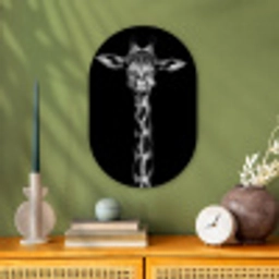 Giraffe - Portret - Dieren - Zwart - Wit Wandcirkel Ovaal Forex klein -sfeer2