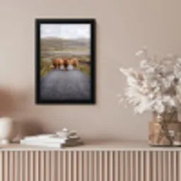 Schotse Hooglanders - Weg - Landschap - Kudde fotolijst zwart zonder passe partout klein -sfeer5