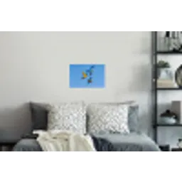 Papagaai - Vliegen - Blauw - Geel Muursticker klein -slaapkamer