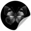 Vlinder - Grijs - Mysterieus Wandcirkel behangsticker klein -3d