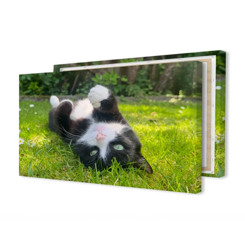 Foto op canvas panorama