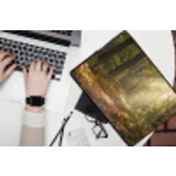 Zonlicht - Bospad - Bomen laptophoes neopreen klein -bureau