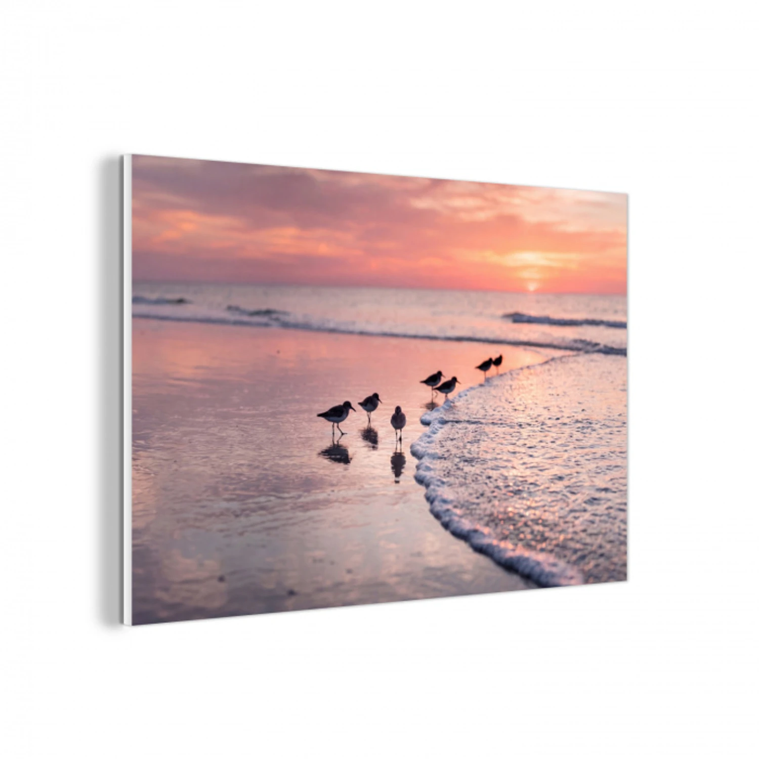 Meeuwen - Strand - Zee - Roze forex 5mm xxl -3d