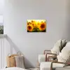 Zonnebloemen in het zonlicht Tuinposter op houten frame 2 cm dik klein -sfeer1