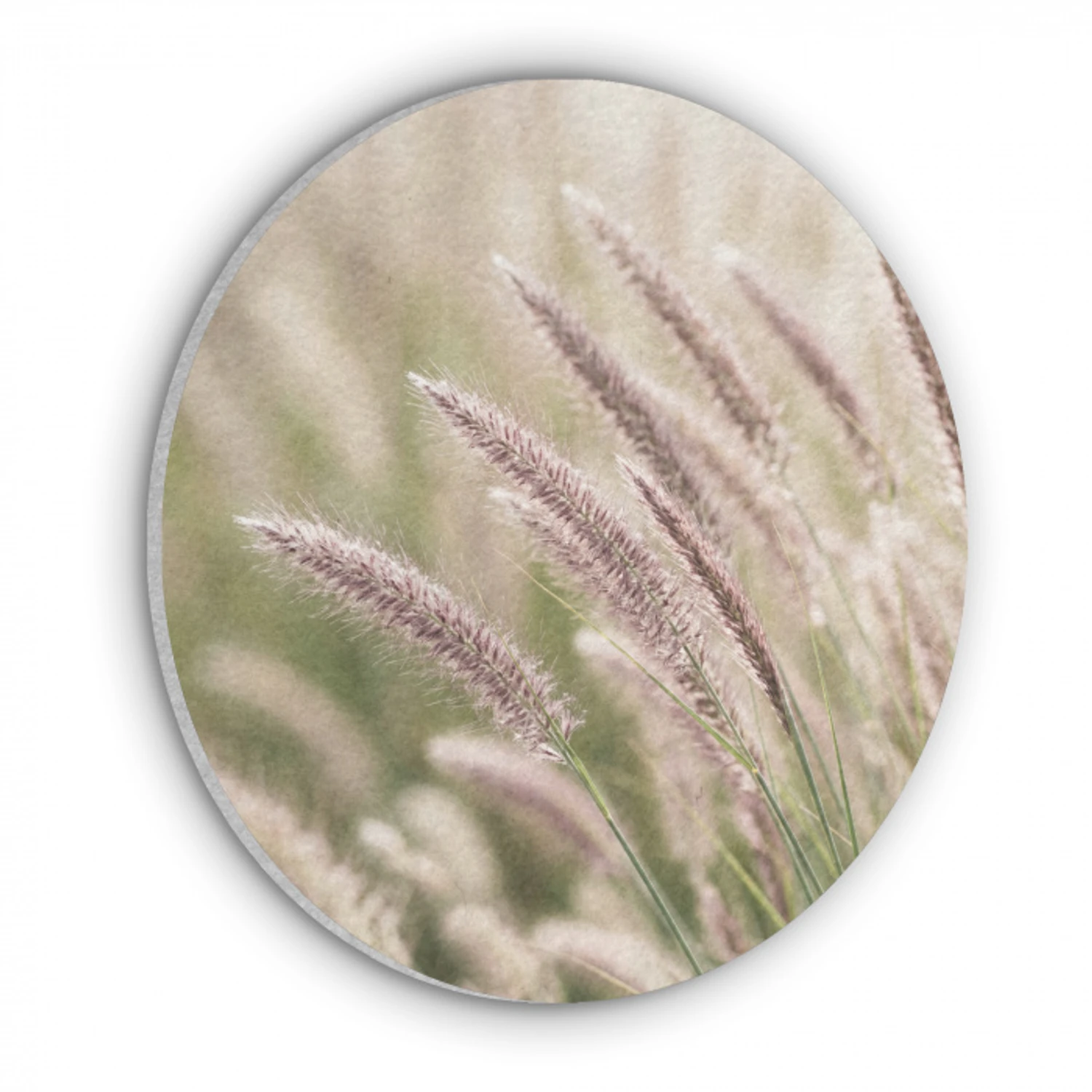 Gras - Close up - Groen Akoestische PET Vilt - Rond klein -3d