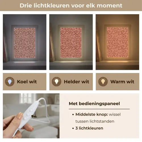 Bloemen - Print - Roze Light Box met kabel (Tafellamp) klein 925 -USP_lichtkleurNL
