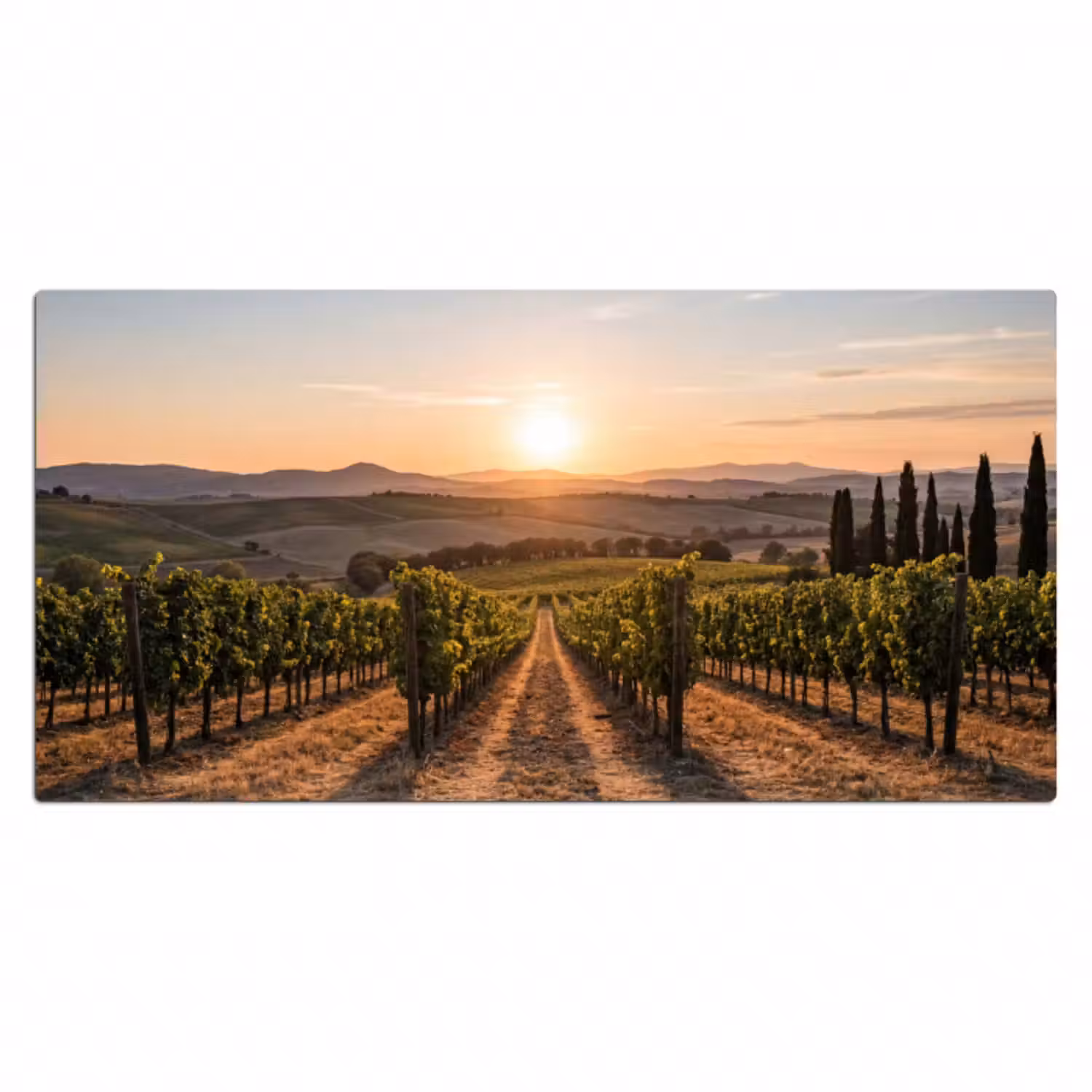 Schreibtischunterlage - Weinberg - Sonnenuntergang - Landschaft