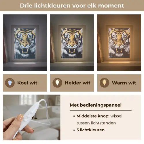 Tijger - Verfspatten - Goud Light Box met kabel (Tafellamp) klein -USP_lichtkleurNL