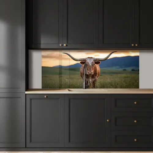 Longhorn - Landschap - Zonsondergang keuken achterwand 2 middel -sfeer1